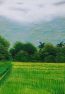 IMG_20210524_140857